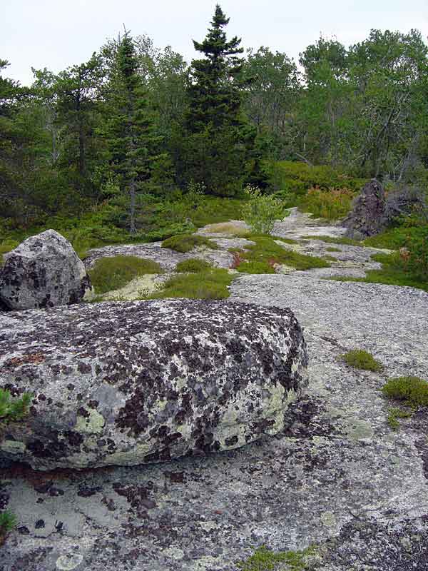 VariedTerrain