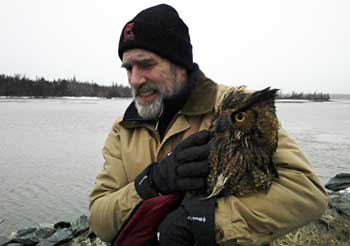 owl