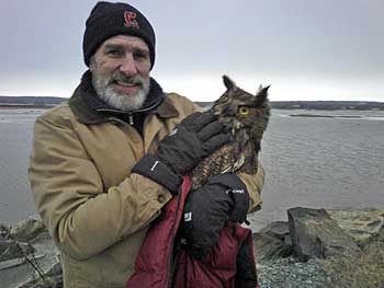 owl